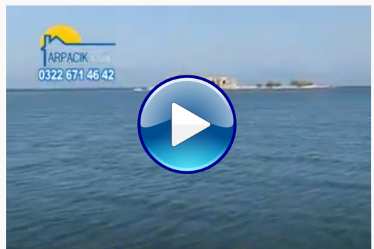 Arpacı yapı yumurtalık